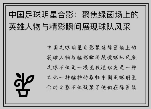 中国足球明星合影：聚焦绿茵场上的英雄人物与精彩瞬间展现球队风采