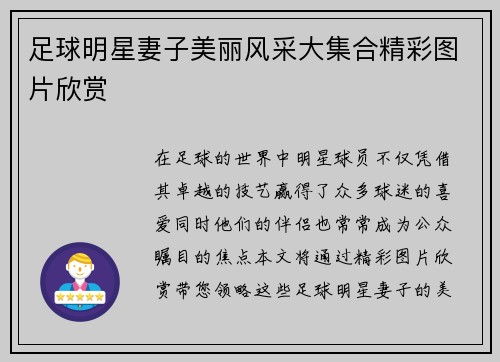 足球明星妻子美丽风采大集合精彩图片欣赏